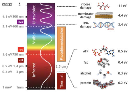 Photobiomodulation - Applied BioPhotonics Ltd.